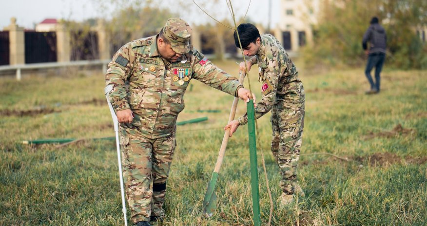 Daha 6 rayonda “Vətən Bağı” yaradıldı - FOTO
