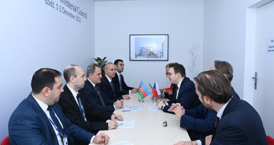 Azerbaijani, Czech FMs hold meeting
