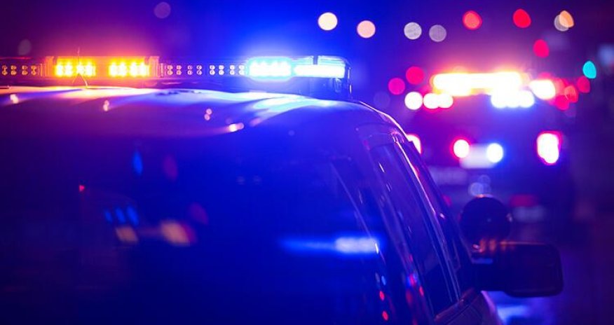 Yaponiyada kişi polis bölməsinə 2 mindən çox zəng edib