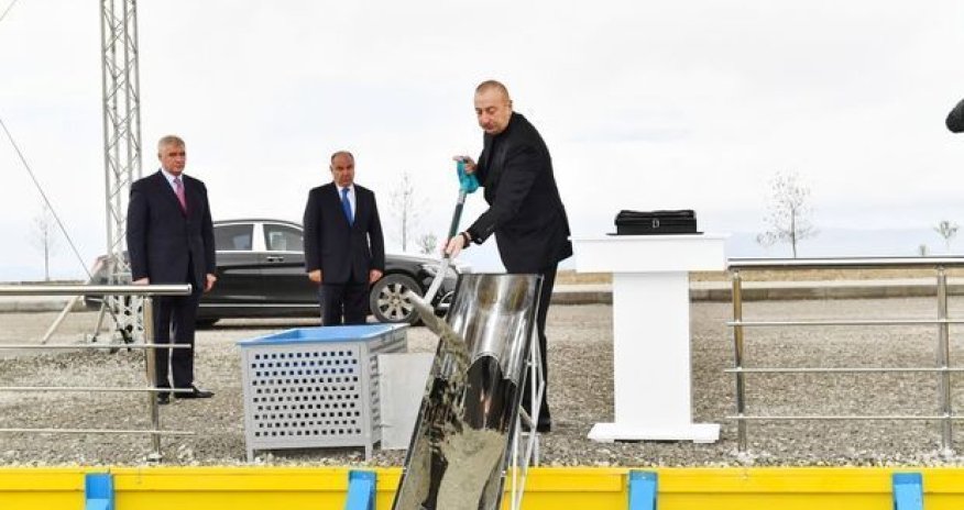 В агропарке 