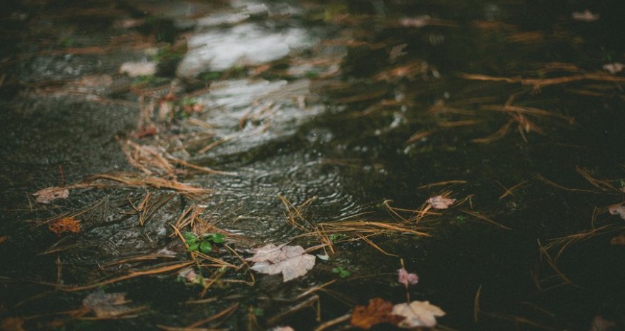 Weather forecast for December 6 unveiled