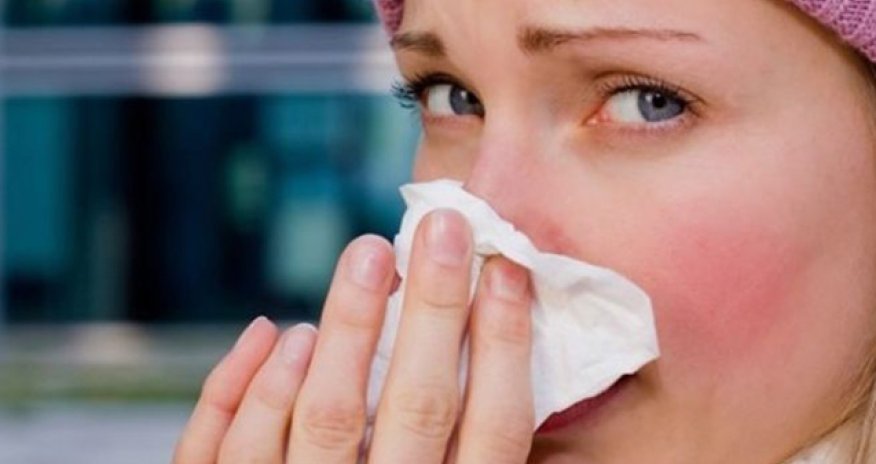 Rusiyanın 74 regionunda donuz qripi aşkar edilib