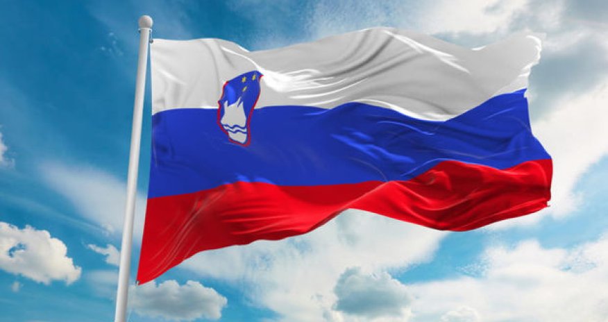 Словения собирается стать членом Совета ООН по правам человека