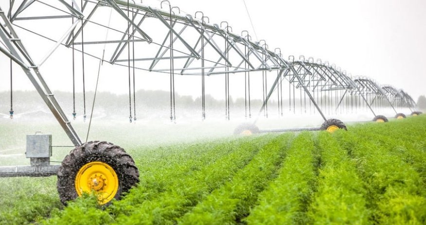 Azerbaijan's agrarian sector grows by over 3%