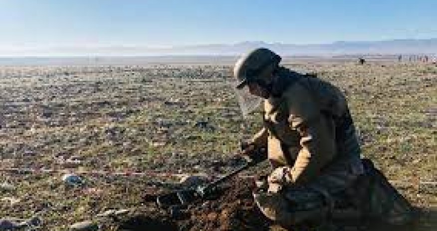 Azərbaycan Şərqi Zəngəzurda 29 min hektar ərazini minadan təmizləyib