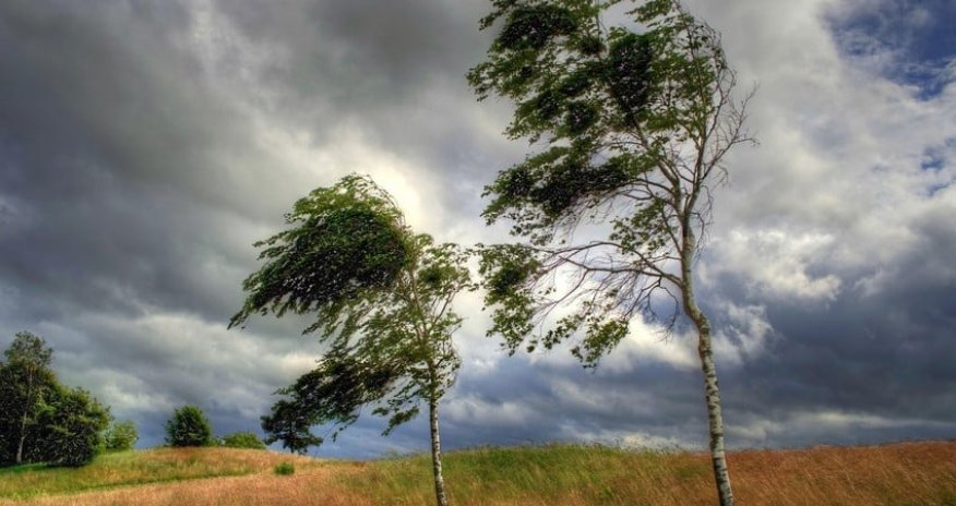 Strong wind expected tomorrow – WARNING 