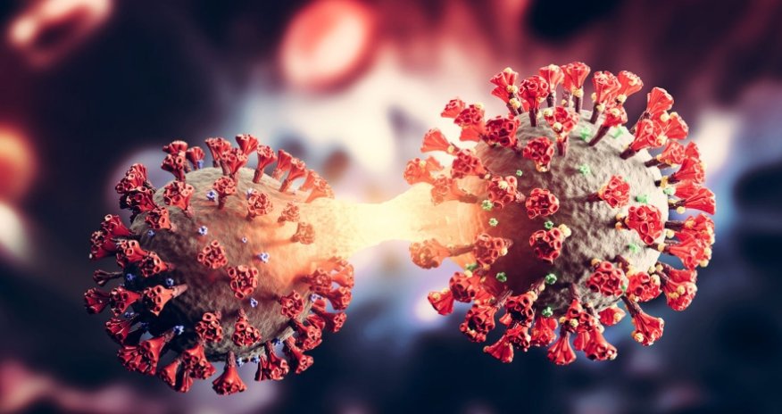 Omikronun XBB.1.5 variantına yoluxanların sayı  getdikcə artır - ÜST