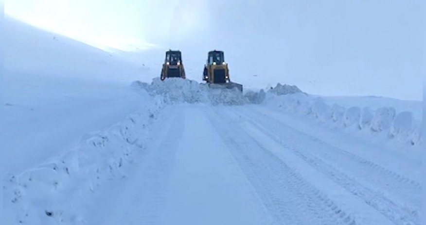 Orduda donvurma halı qeydə alınmayıb - VİDEO