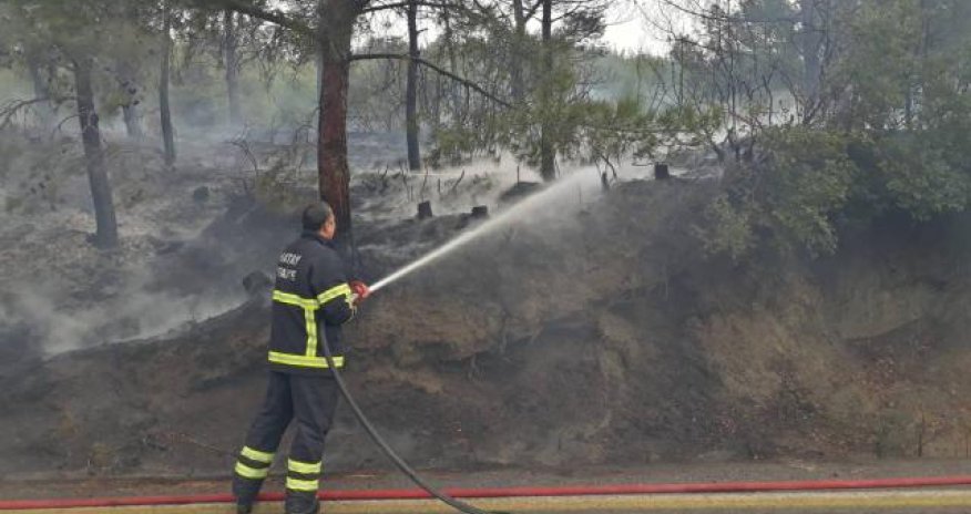 Türkiyədə meşə YANIB