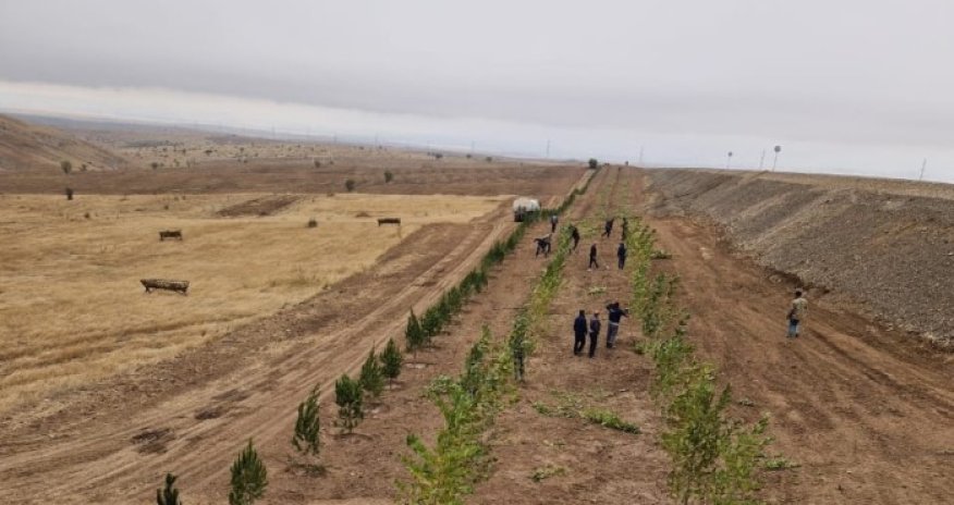 Bu gün 3200 ağac əkilib