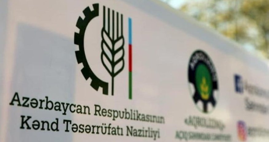 KTN-in tabeliyindəki qurumda mənimsəmə - Cinayət işi açıldı