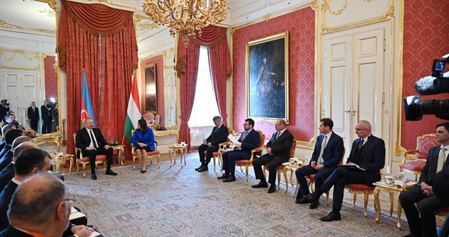 Prezident Macarıstanın prezidenti ilə görüşdü