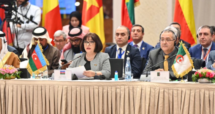 Гафарова рассказала о больших трудностях исламского мира