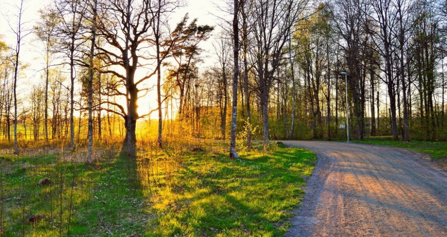 Fevrala olan hava proqnozu açıqlanıb