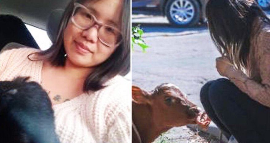 Moskvada Qırmızı meydanda buzovla gəzən ABŞ vətəndaşı saxlanılıb