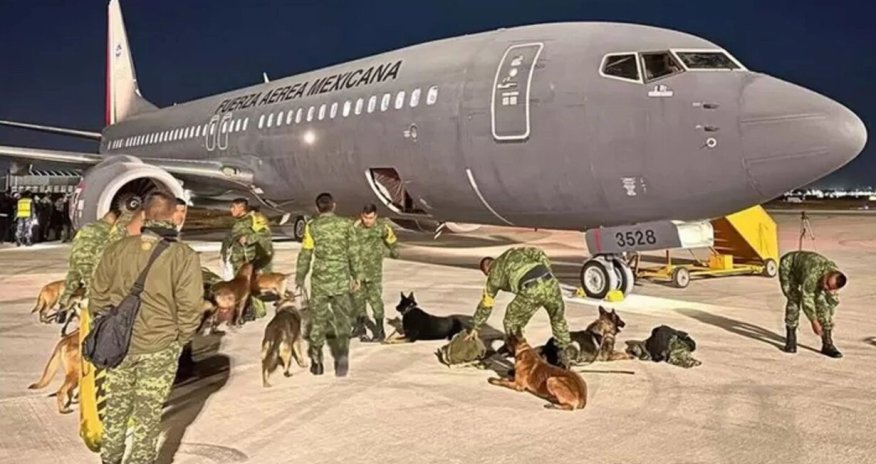 Meksika axtarış-xilasetmə itlərini Türkiyəyə göndərir