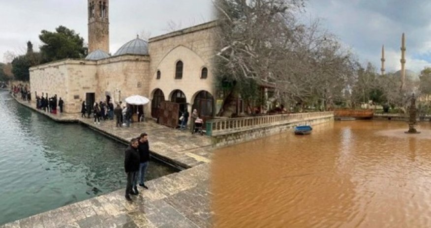 Zəlzələ dünyanın ən böyük akvariumunu bu hala saldı