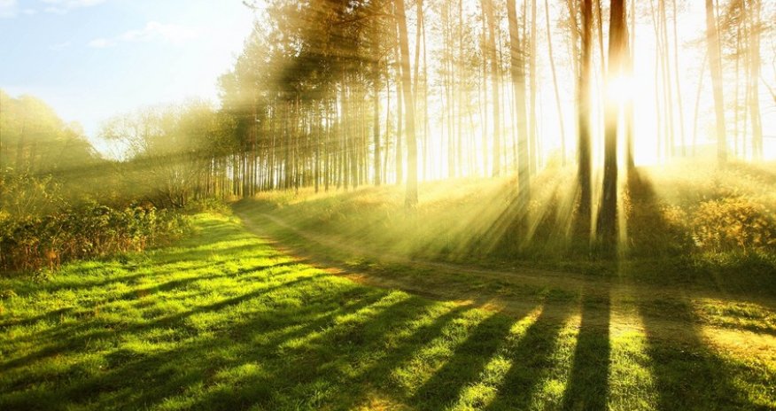 Weather temperature to reach 18 C tomorrow