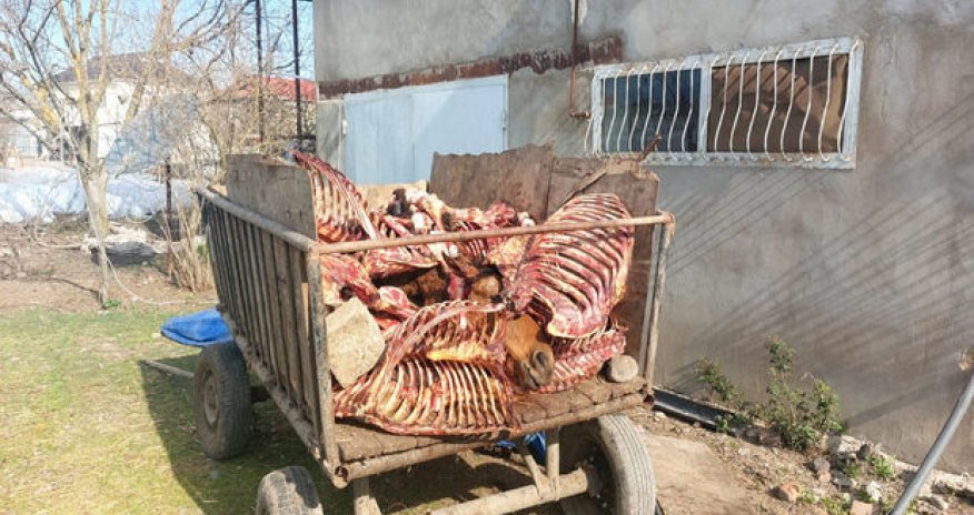 Cəlilabadda at əti satmaq istəyən şəxs saxlanılıb