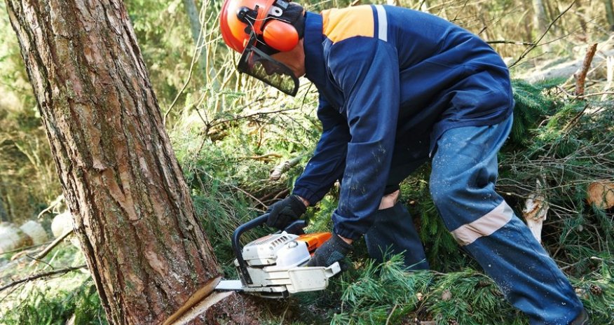 Azərbaycanda ekoloji hüquqpozmalarla bağlı cinayət işi başlanılıb