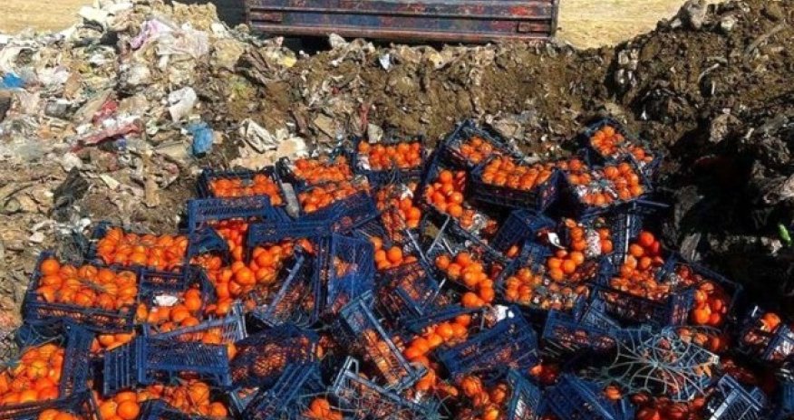 İrandan gətirilən portağal və bibərdə viruslar aşkarlandı