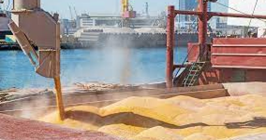 Taxıl müqaviləsi 120 gün müddətinə uzadıla bilər