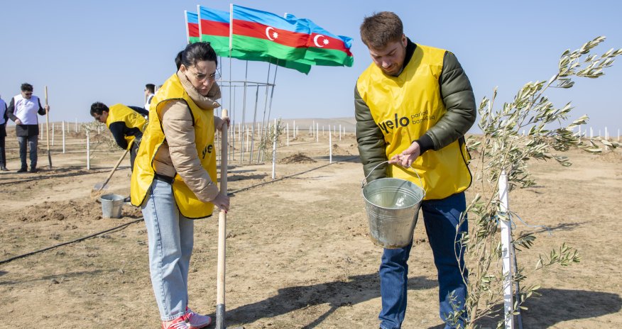 Yelo Bank ağacəkmə aksiyasında iştirak etdi