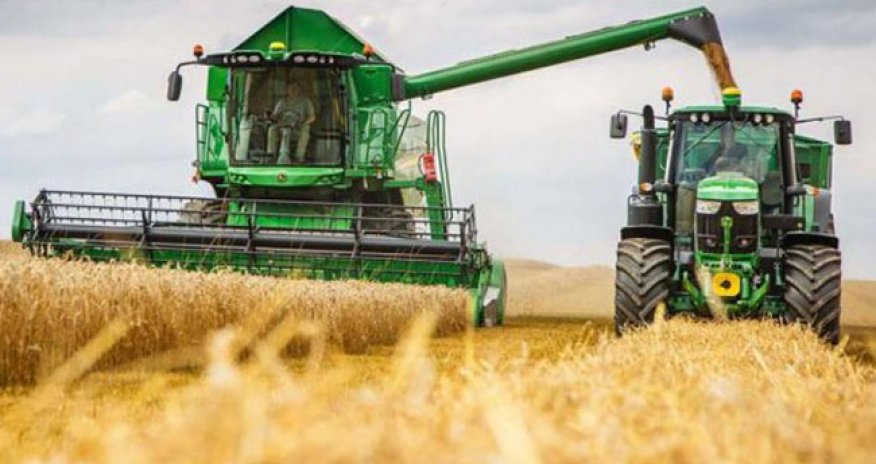 Bu il ərzaqlıq buğda üçün 180 milyon manat ayrılıb - Baş nazir