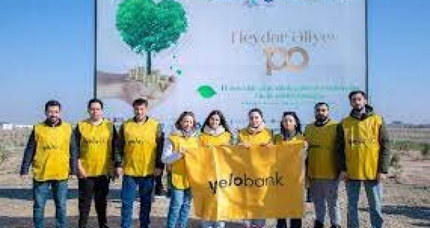 Yelo Bank принял участие в акции по посадке деревьев