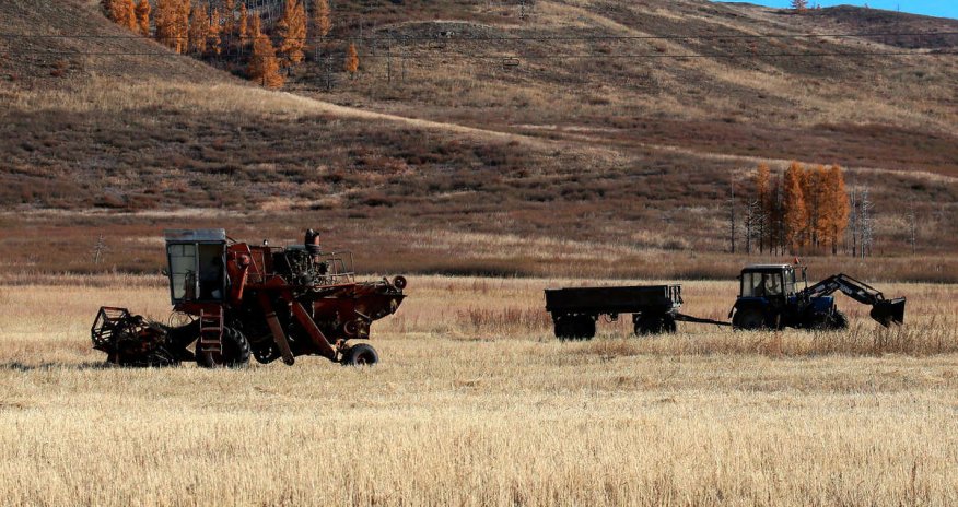 Polşa və Rumıniya Aİ-dən Ukraynadan taxıl idxalına nəzarət mexanizmini istəyib