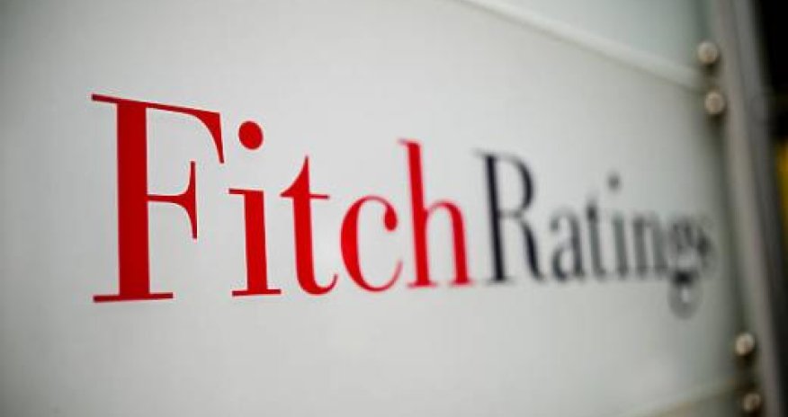 Число суверенных дефолтов достигло рекорда - Fitch