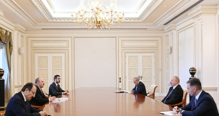 Prezident Türkiyənin sənaye və texnologiya nazirini qəbul edib