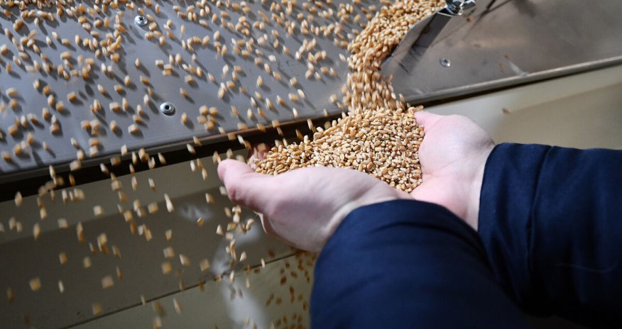 Rusiya “taxıl müqaviləsi”ndə vəd edilənləri almır - 