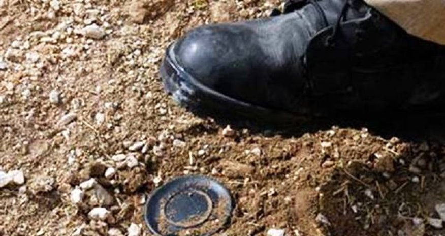 Müdafiə Nazirliyi 29 min hektar ərazini minalardan təmizləyib