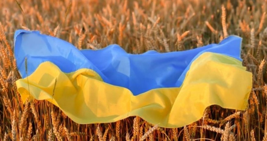 Polşa Ukrayna taxılının idxalını dayandıracaq