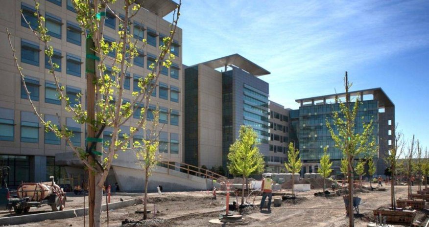 Bakıda xəstəxana binası satışa çıxarıldı