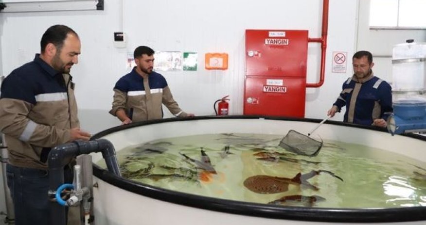 Özəlləşdirilən daha bir müəssisə yenidən quruldu - FOTO