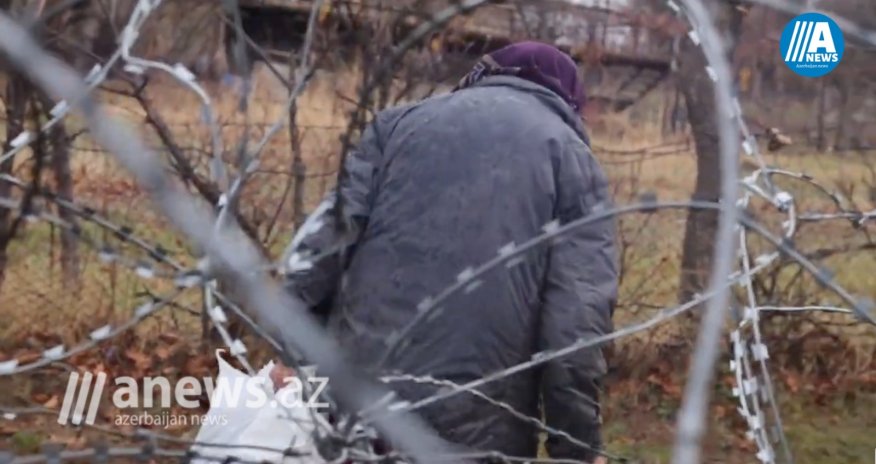 Gürcüstan və Cənubi Osetiya arasında  sərhədyanı kənddən - REPORTAJ