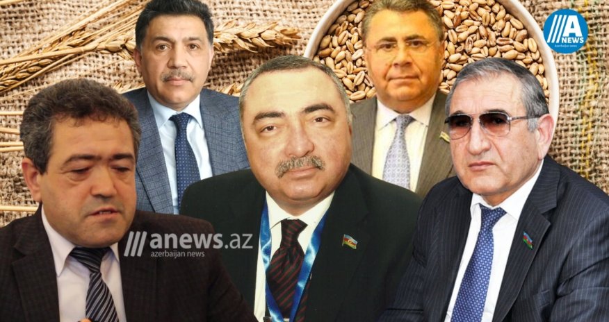 Rusiya taxıl müqaviləsini uzatmasa Azərbaycanda çörək bahalaşa bilərmi? - TƏHLİL