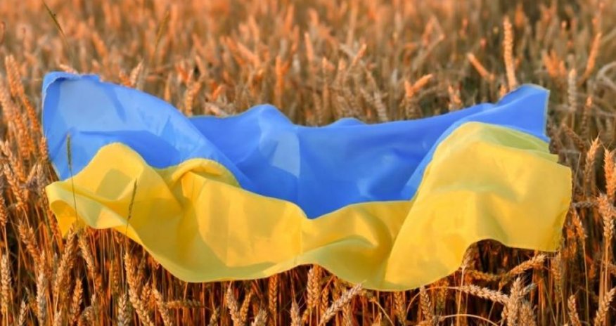 Avropa ölkələri Ukraynadan taxıl idxalı məsələsində razılığa gələ bilməyib