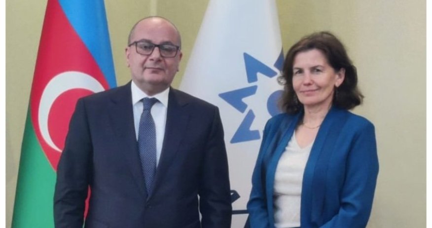 French ambassador discusses demining issues with ANAMA chairman