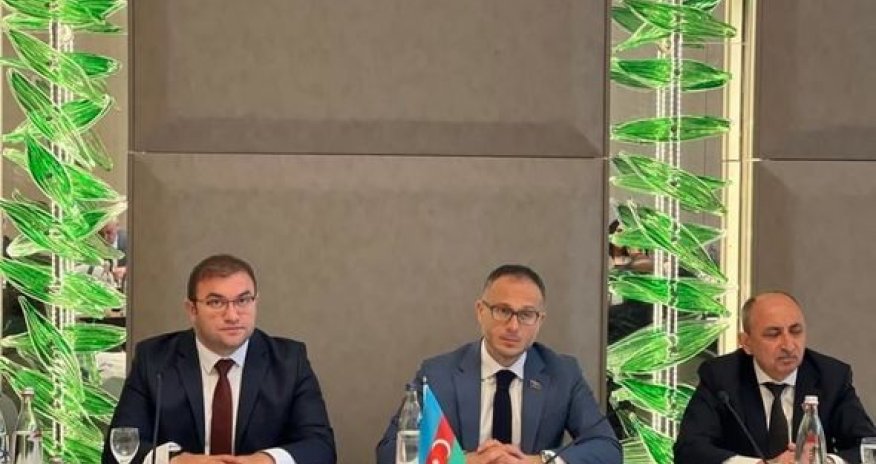 Berlində Qərbi Azərbaycana qayıdış mövzusunda konfrans keçirildi - FOTO