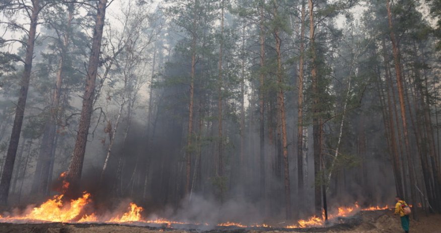 Rusiyada meşə yanğınına görə vilayətdə fövqəladə vəziyyət elan olunub