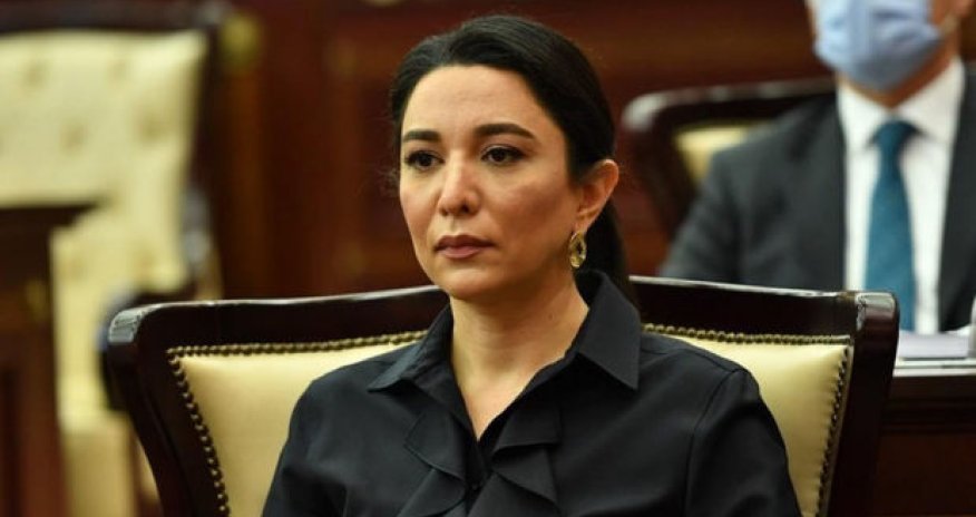 Омбудсмен выразила протест