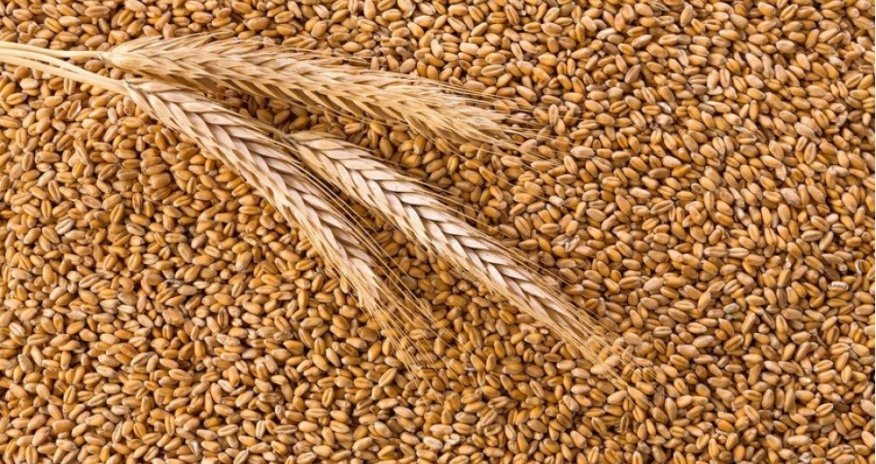 Taxıl müqaviləsi daha 2 ay uzadıldı