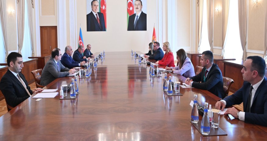 Əli Əsədov Monteneqro parlamentinin sədri ilə görüşüb