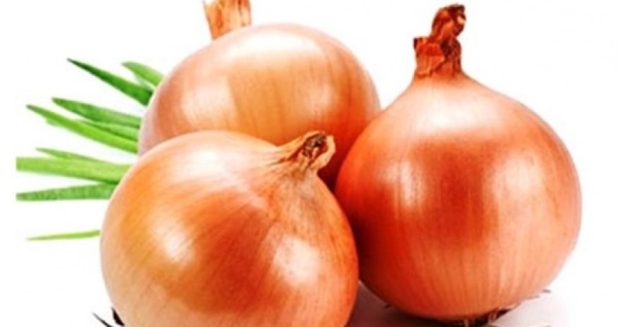 Ukrayna bazarında Azərbaycan soğanı üstünlük təşkil edəcək