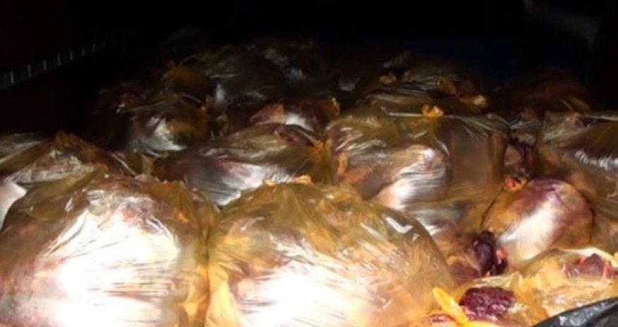 İsmayıllıda yük maşınında iki tona yaxın at əti aşkarlanıb- FOTO