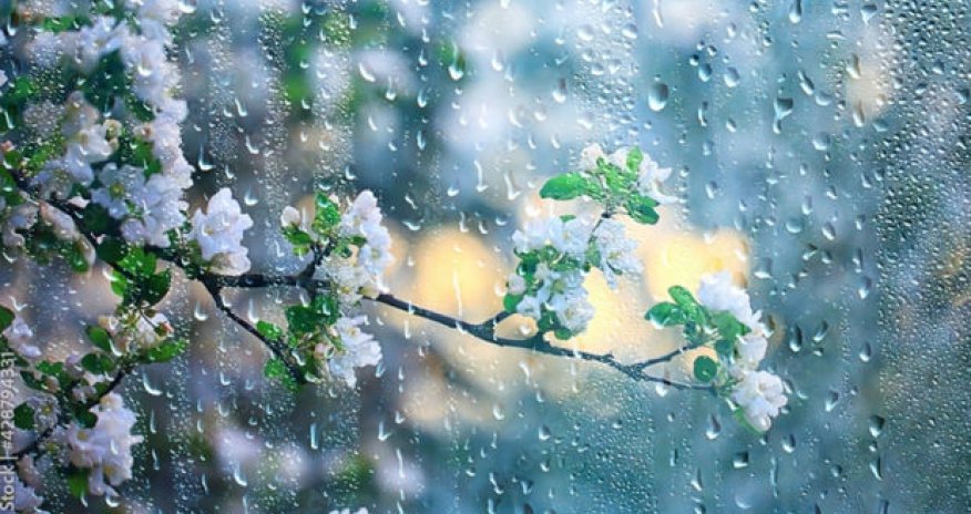 Sabahdan hava şəraiti kəskin dəyişəcək - XƏBƏRDARLIQ