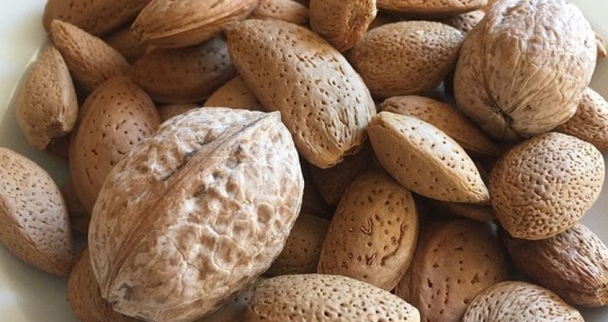 Almaniya, Türkiyə və Azərbaycan gürcü badamı və qozu üçün prioritet bazarlardır